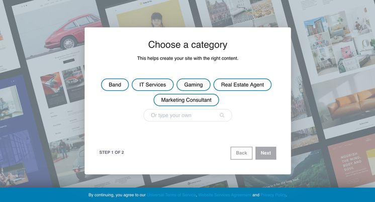 The famous TapSuccess website builder makes your website with two questions: 1. Business category and 2. Business name.